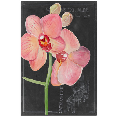«Chalkboard Flower I», reproduction
