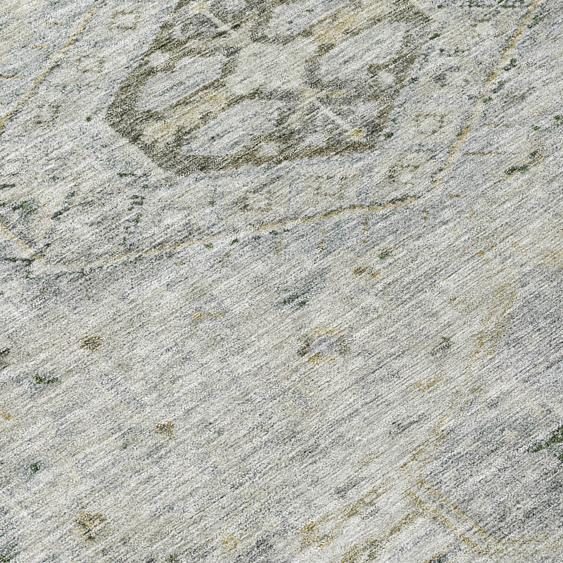 Machine Washable Indoor/Outdoor Earleville ACN2357 Traditional Rug, Rectangle 8' x 10'