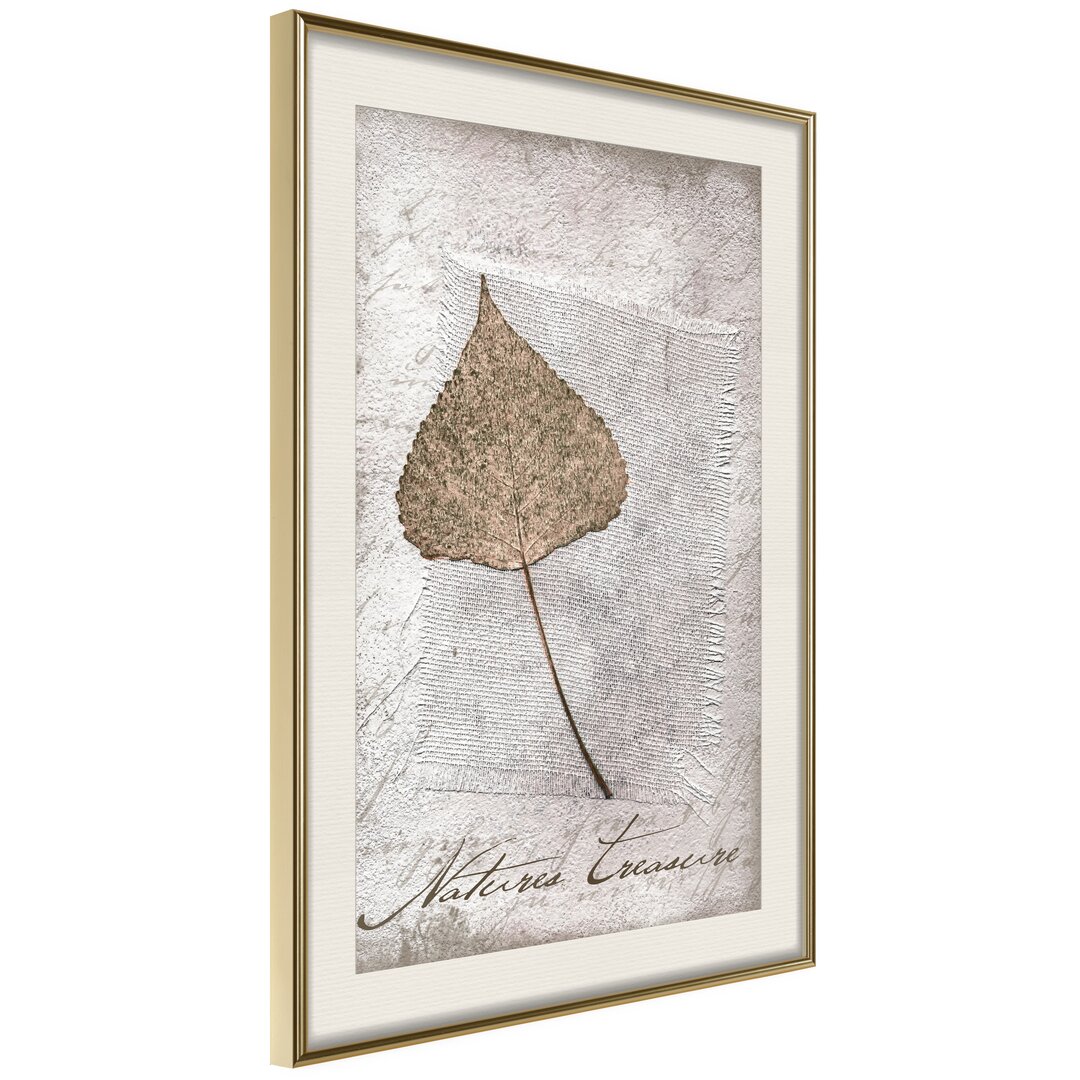 Gerahmter Fotodruck Dried Leaf