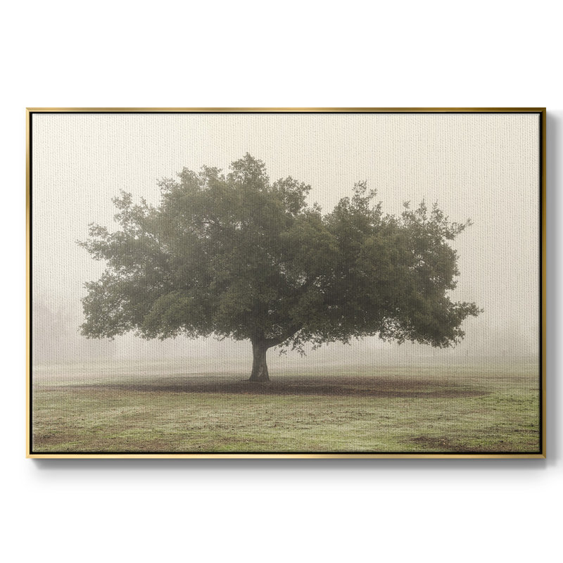 Arbres dans le brouillard II, Toile avec cadre doré, H 27 po x l 41 po x P 2 po
