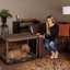 Caisse pour animaux-97966503-97966502