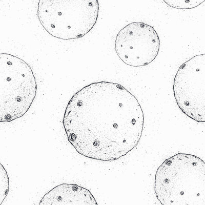 Marlton 126" L x 24" W Peel and Stick Wallpaper Roll