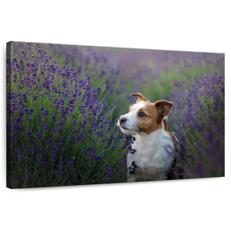 Crowle Jack Russell And Lavender, 32" H x 48" W