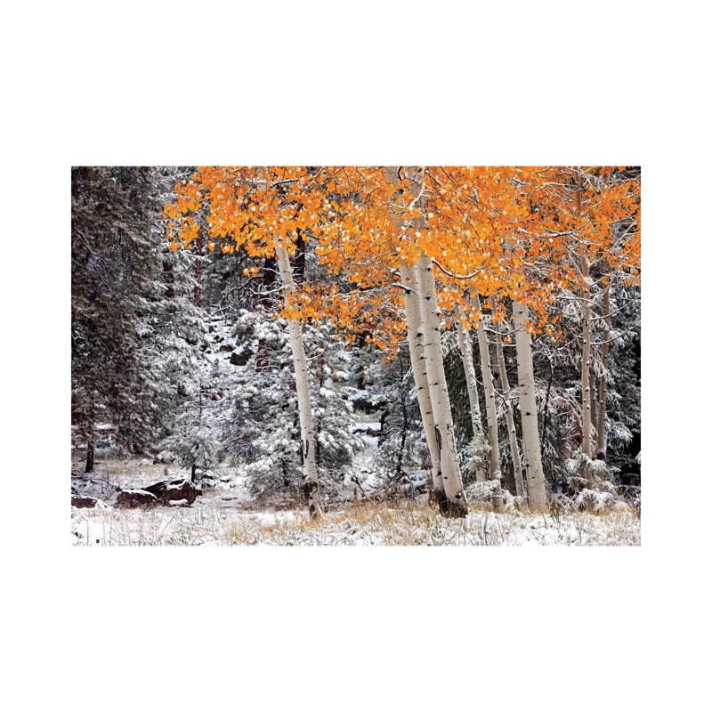 A Little Bit Of Winter by Mike Jones - Wrapped Canvas Print, 20.32cm H x 30.48cm W x1.905cm