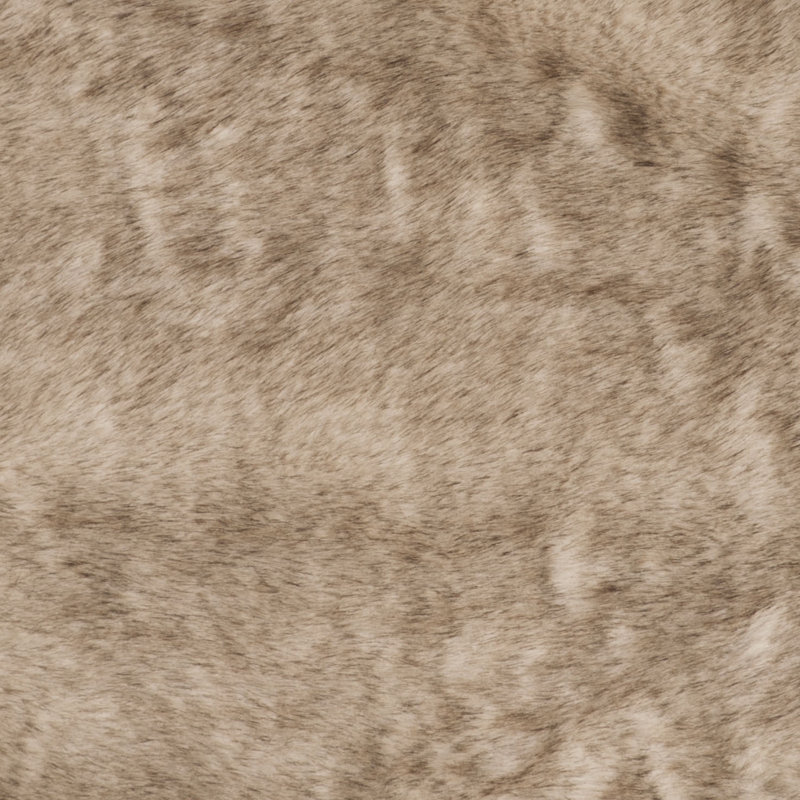 Tapis beige Taneytown, Rectangulaire 3 pi x 5 pi