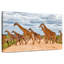 Girafes de Brampt, animaux de safari-108815885