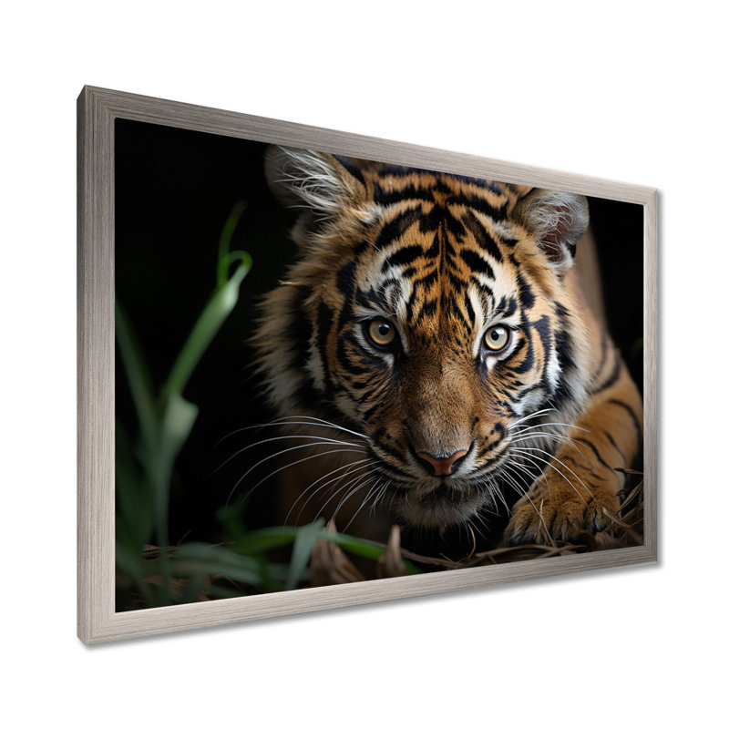 Portrait de tigre brun - art mural tigre, Cadre simple argenté, H 12 po x l 20 po x P 1 po