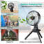 Ventilateur Edge Collections 10