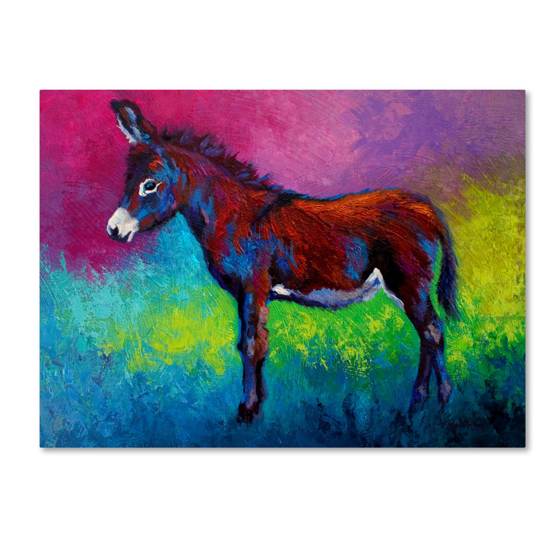 «Donkey Jenny» par Marion Rose, reproduction sur toile, H 24 po x l 32 po x P 2 po
