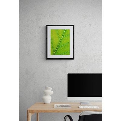 Philippe Monthoux  Autumn Leaf  by Philippe Monthoux