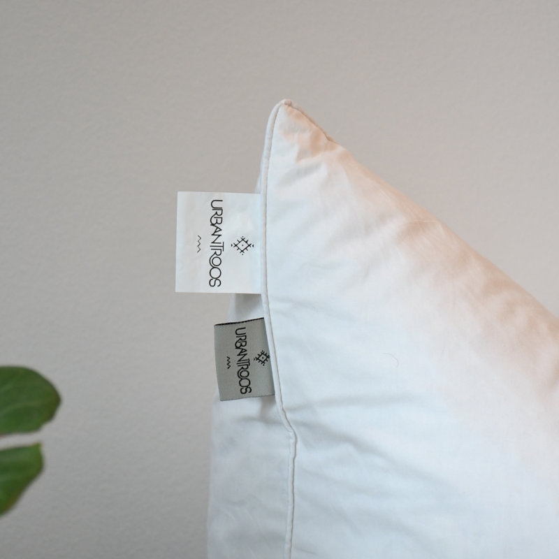 Goose Down and Feather Pillow Insert,    16"H x 16"W  , Square