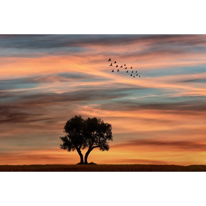 Wrapped Canvas Print, 50.8cm H x 76.2cm W