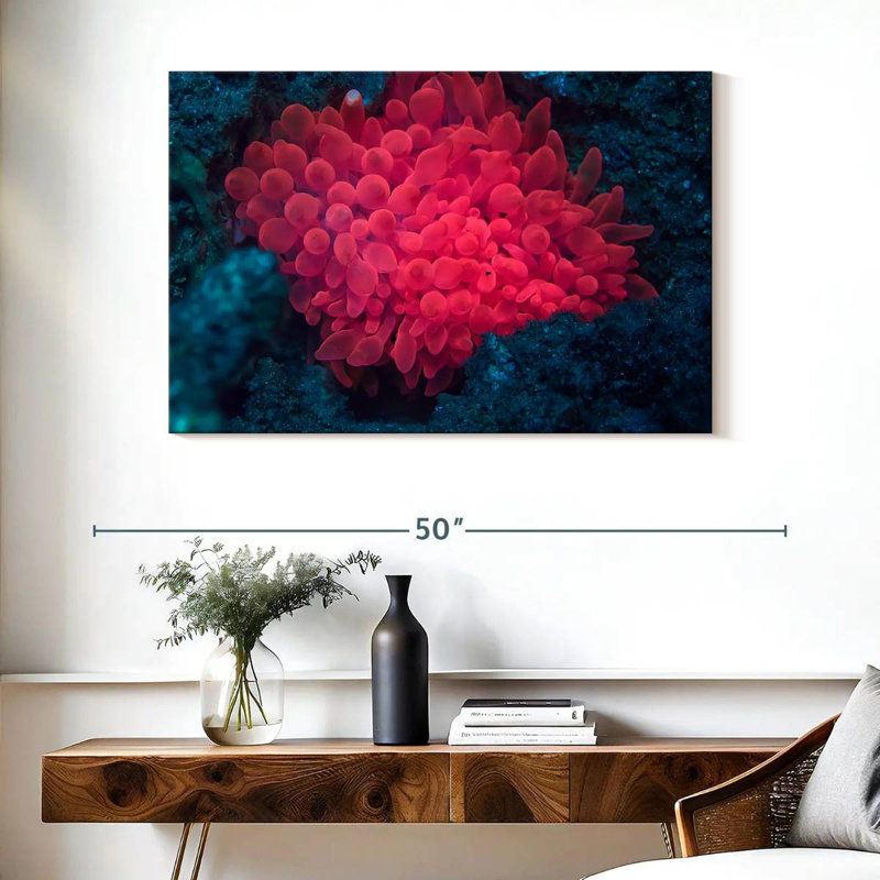 Rose corail, H 26 po x l 39 po