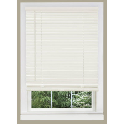 Cordless Window Blinds, Privacy & Light Filtering 1" Slats Vinyl Mini Blind