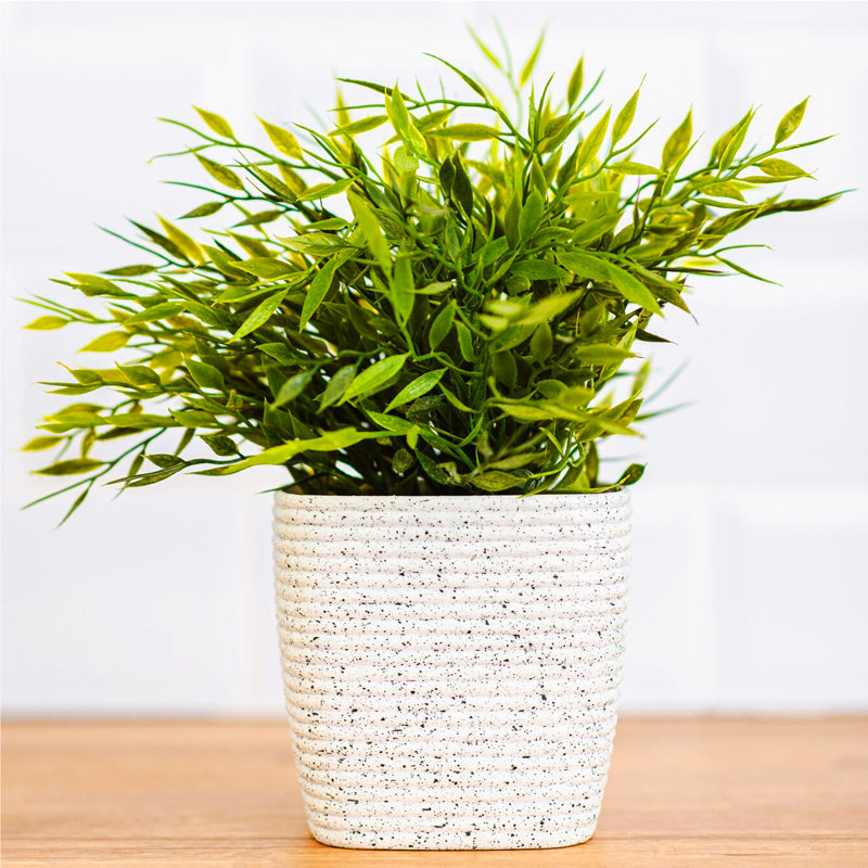 Abellas-Bauzo Pot Planter, White