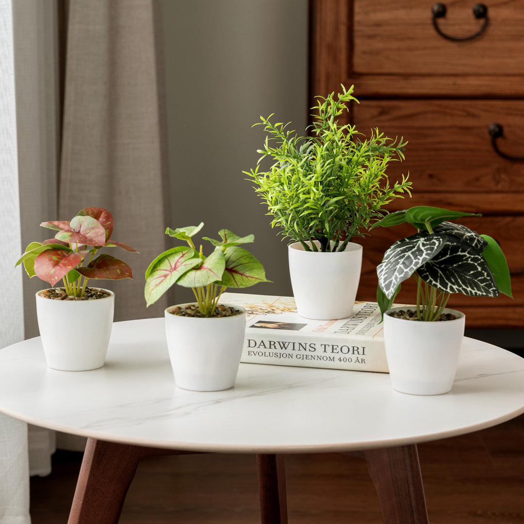 4 Piece Fuax Fake Mini Foliage Artificial Plants White Pot Primrue