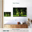 Arbre Harnek-107677806