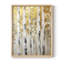ABSTRACT Series CMXLIX - Impression encadrée de qualité supérieure - Prêt à être accroché - Aucun clou requis-722788279-722788283