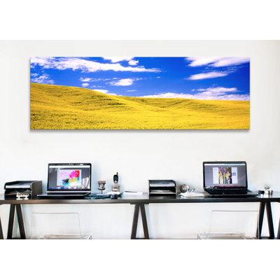 " Canola Fields Washington State "