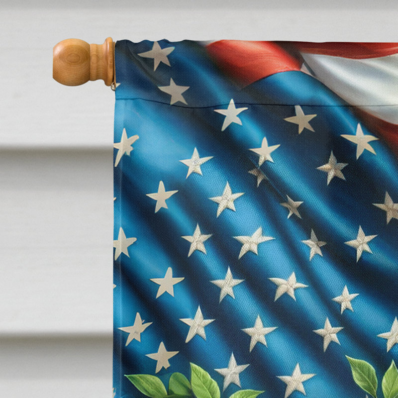 Drapeau «All American House», Épagneul Springer anglais