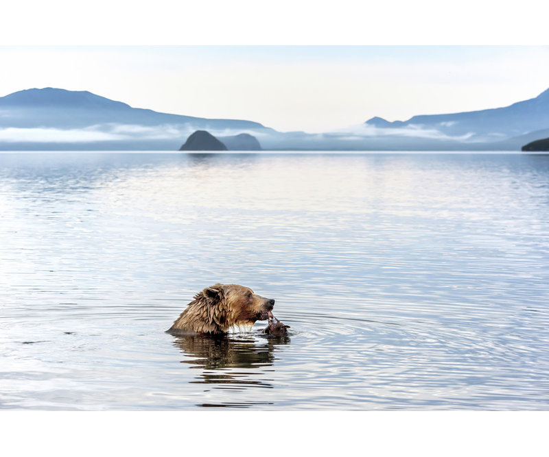 Wrapped Canvas Print, 81.28 cm H x 121.92 cm W