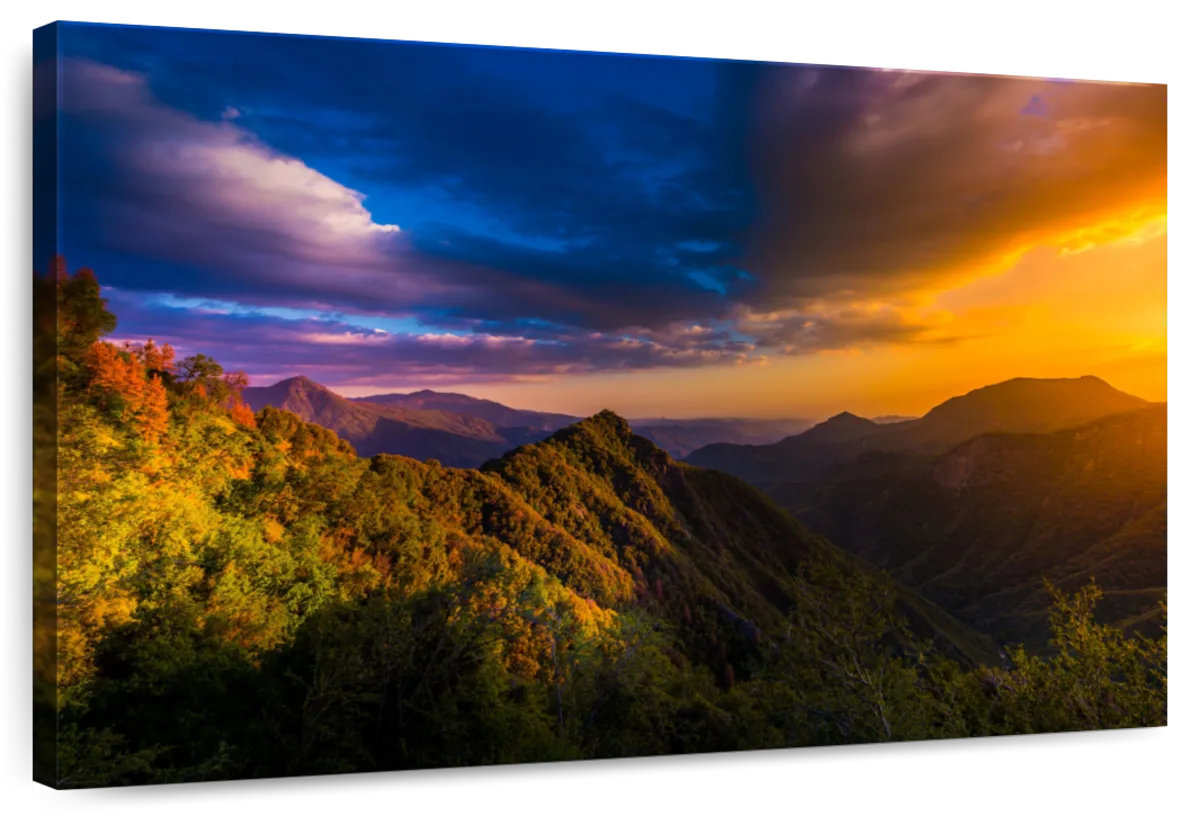 Millwood Pines Alvord Sunset At Sequoia National Park | Wayfair