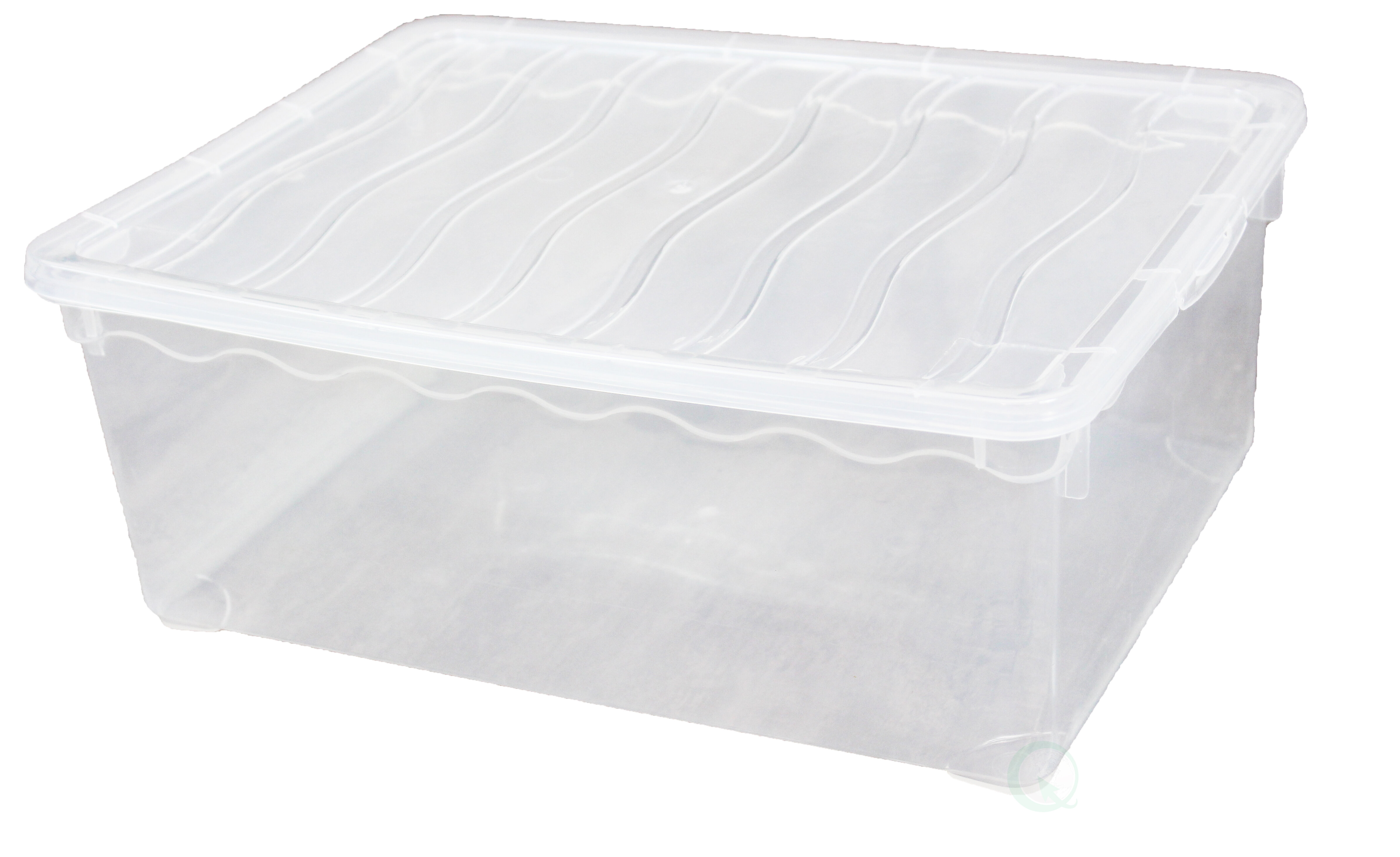 Rebrilliant Plastic Storage Shoe Box & Reviews - Wayfair Canada