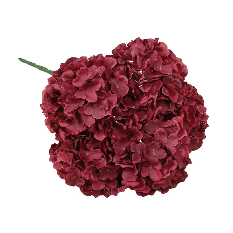 Hortensia de luxe, Bourgogne