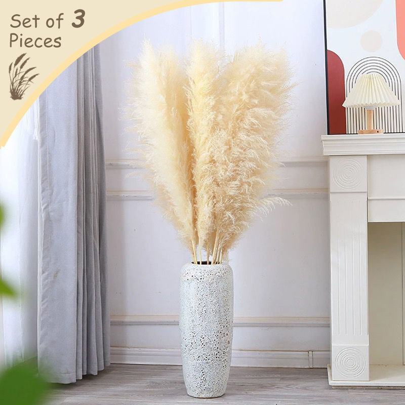 Preserved Pampas Grass – 59-Inch Tall, Neutral Beige (3 Set)