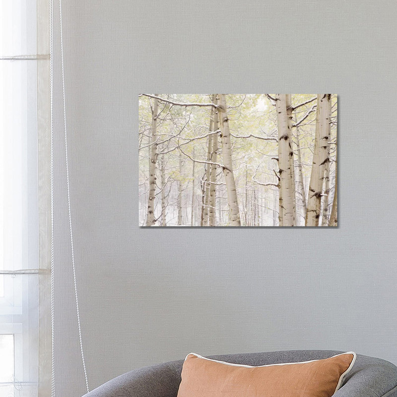 Autumn Aspens With Snow, Colorado, USA - Wrapped Canvas Print, 66.04 cm H x 45.72 cm W x 1.91 cm D
