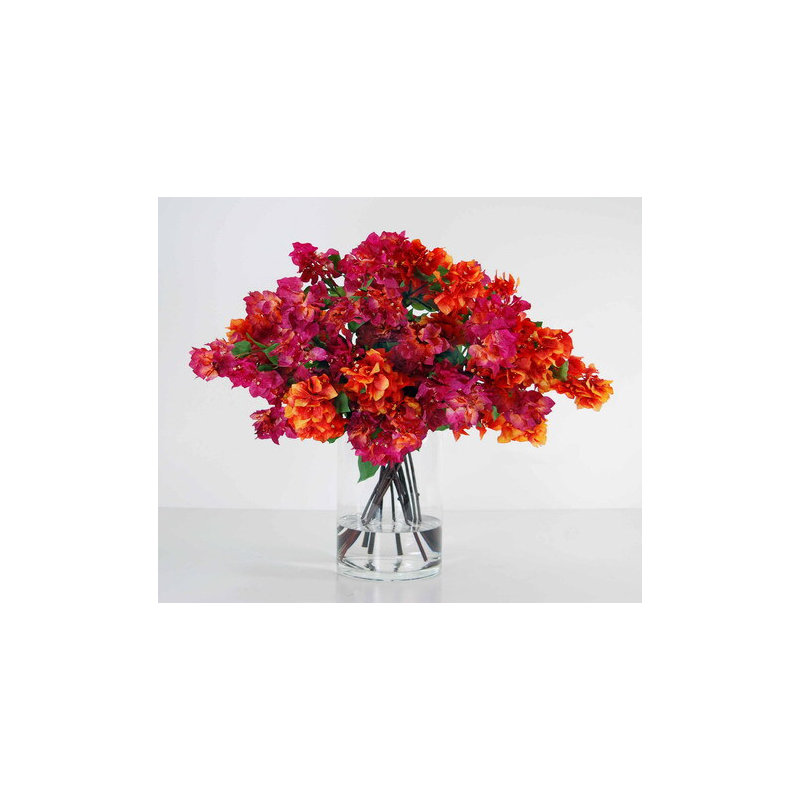 Bougainville dans un vase