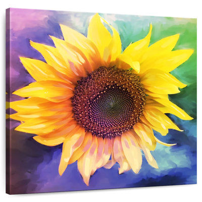Harnek couleur tournesol éclaté