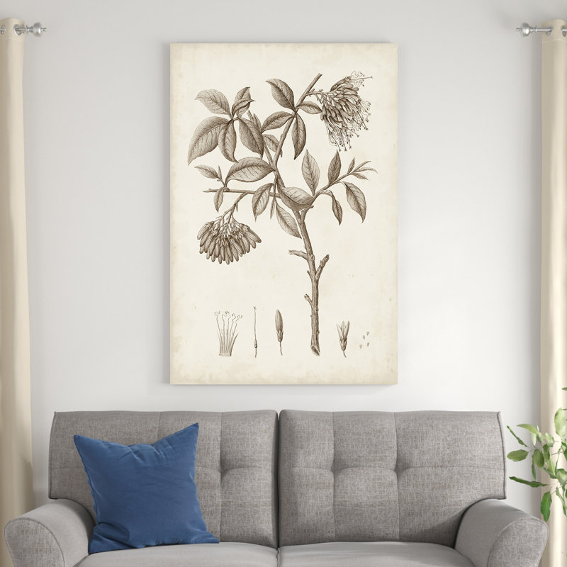 Botanique antique sépia I, H 48 po x l 32 po x P 1,25 po