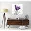 Tulip Dream - Wrapped Canvas Print-111561471