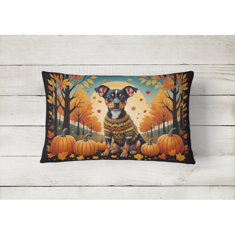 Other/No Pattern Outdoor Throw Pillow