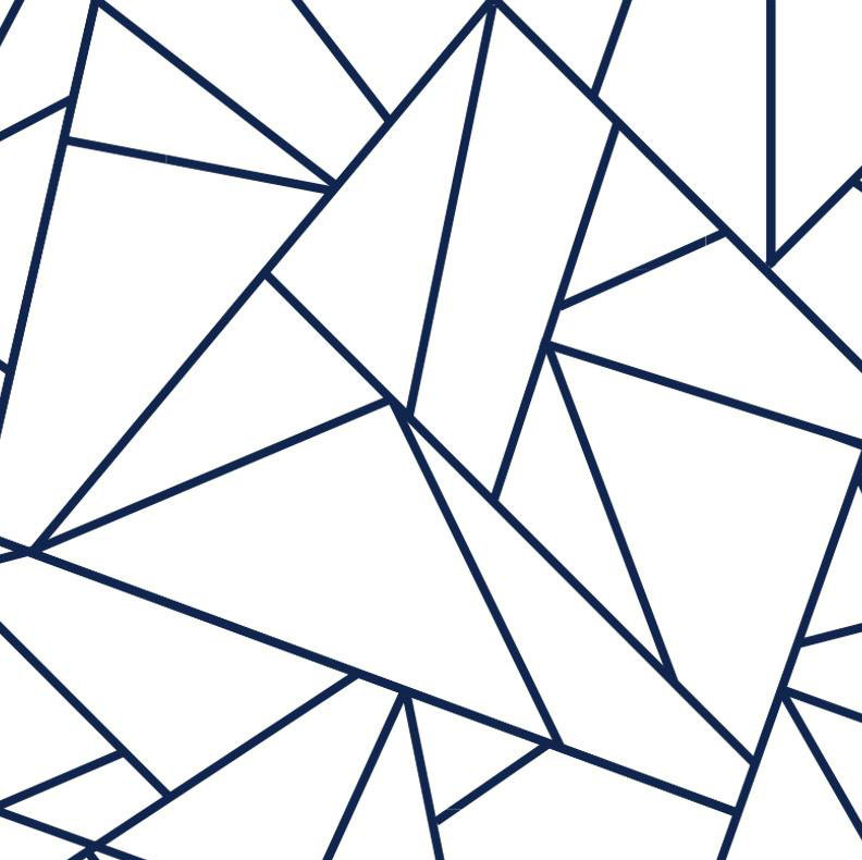 Origami Geometric Wallpaper Roll by Jamie Graney, Navy/White