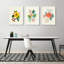 Décoration murale botanique - Fleurs par Annie Bailey-992184220-992184217