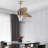 Frann 48'' Ceiling Fan with LED Lights
