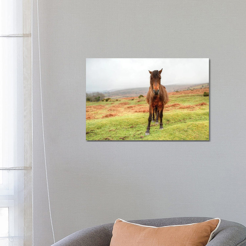 Stare Down by David Gardiner - Print on Canvas, 66.04 cm H x 45.72 cm W x 3.175 cm D, Wrapped Canvas