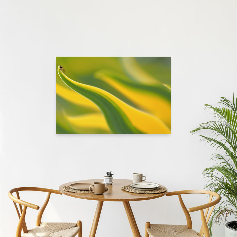 Insect On Vibrant Leaf Elegant Vibrant Abstract Nature Plant Wall Art Print 1 Piece Wrapped Canvas Wall Art