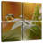 Alvord Flower Mist-109033797