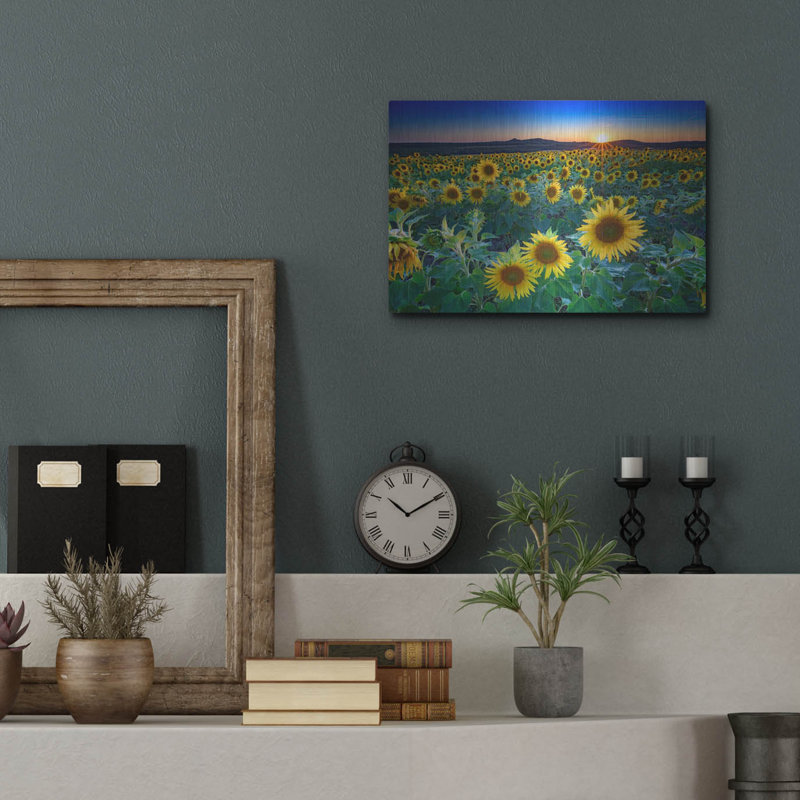 Mur de métal «Sunset In Aroostook County» par Rick Berk, H 12 po x l 16 po