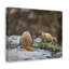 No Frame Print on Canvas-1835878633