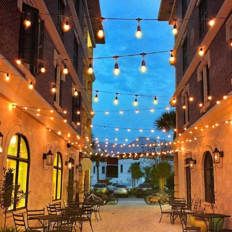 Ener J Outdoor LED Festoon String Lights 48ft 15 Bulbs Warm White IP65