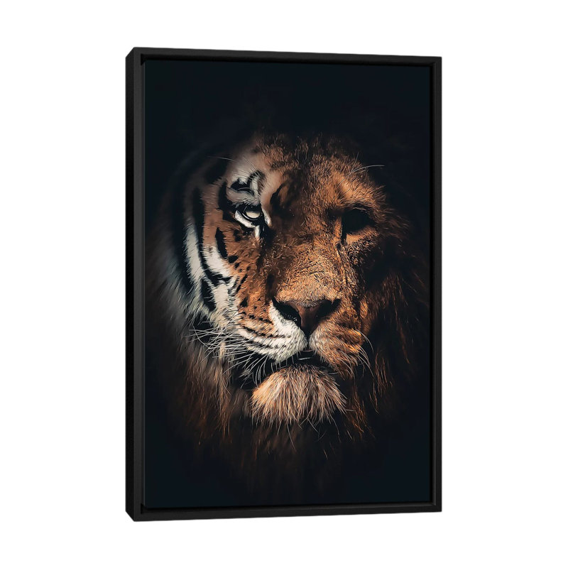Half Tiger Half Lion by Zenja Gammer - Print on Canvas, 66.04 cm H x 45.72 cm W, Black Framed
