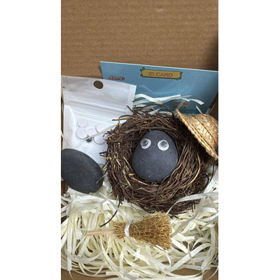 Pet Rock Natural Pebbles DIY Gift & Play Set with Accessories