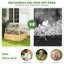 Cameisha Wood Planter Box