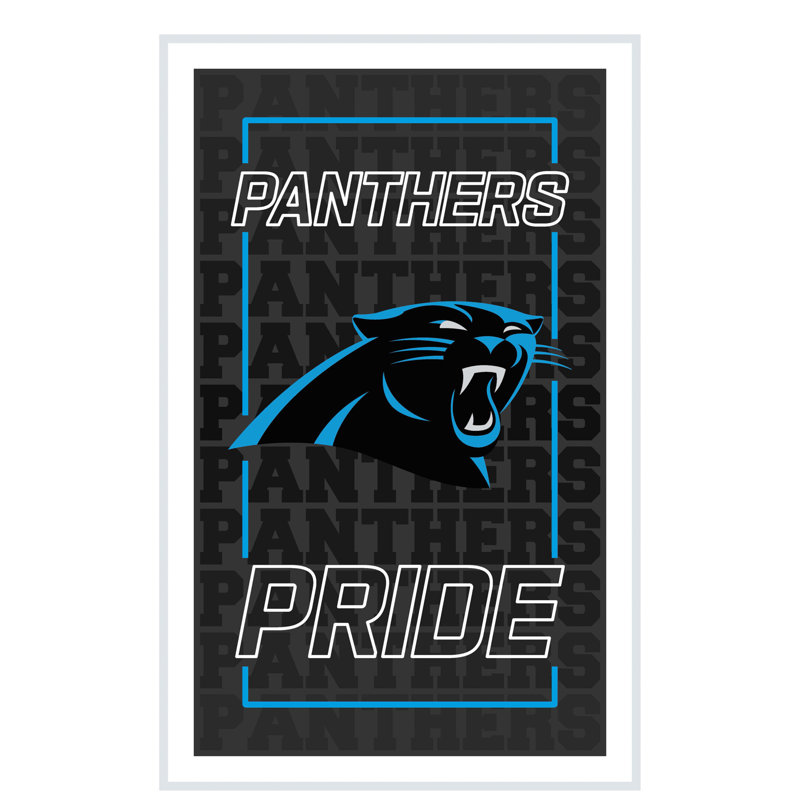 Enseigne murale NFL NeoLite, Panthers de Caroline