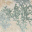 Barbados Decorative Pillow-33067328-114599529