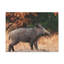 No Frame Print on Canvas-72927324
